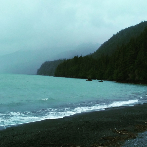 Meet your Posher, Teresa - Picture 4 of 8